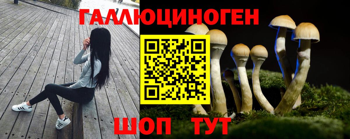 Электросталь  Псилоцибиновые грибы мицелий  Вход с VPN 